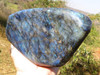 Polished A Grade Large  Polished Labradorite Standing Free Form