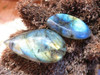 Small Polished Labradorite Cabochons  - Sold per piece