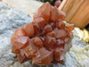 Natural Small Tangerine Quartz Cluster