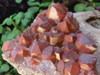 Natural Small Tangerine Quartz Cluster