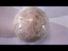 Polished Fossilized Coral Sphere - 80mm