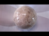 Polished Fossilized Coral Sphere - 80mm