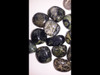 Kambaba Jasper Tumbled Stone - by the pound 