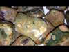 Rhyolite Tumbled Stone - by the pound 