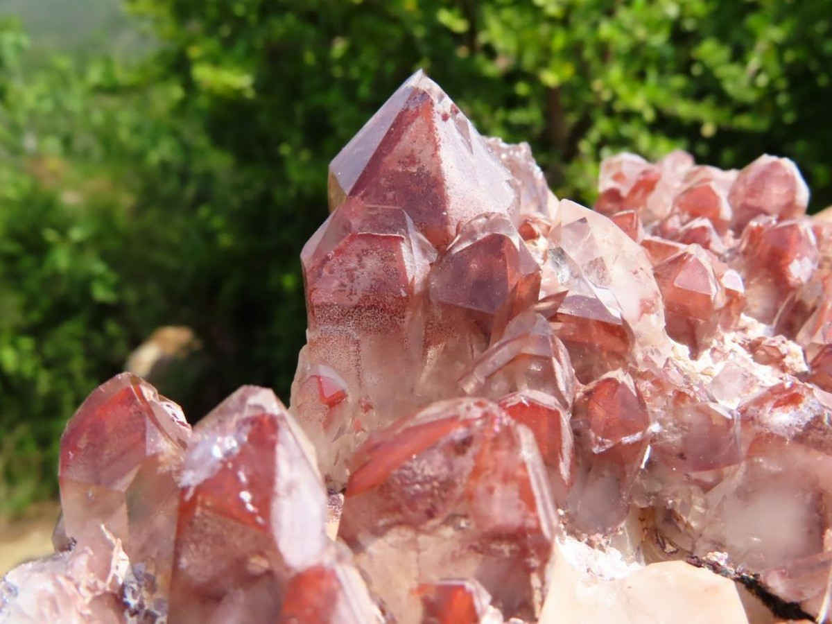 Red Gypsum - Mineral Specimen from Spain - StarStuff.Rocks