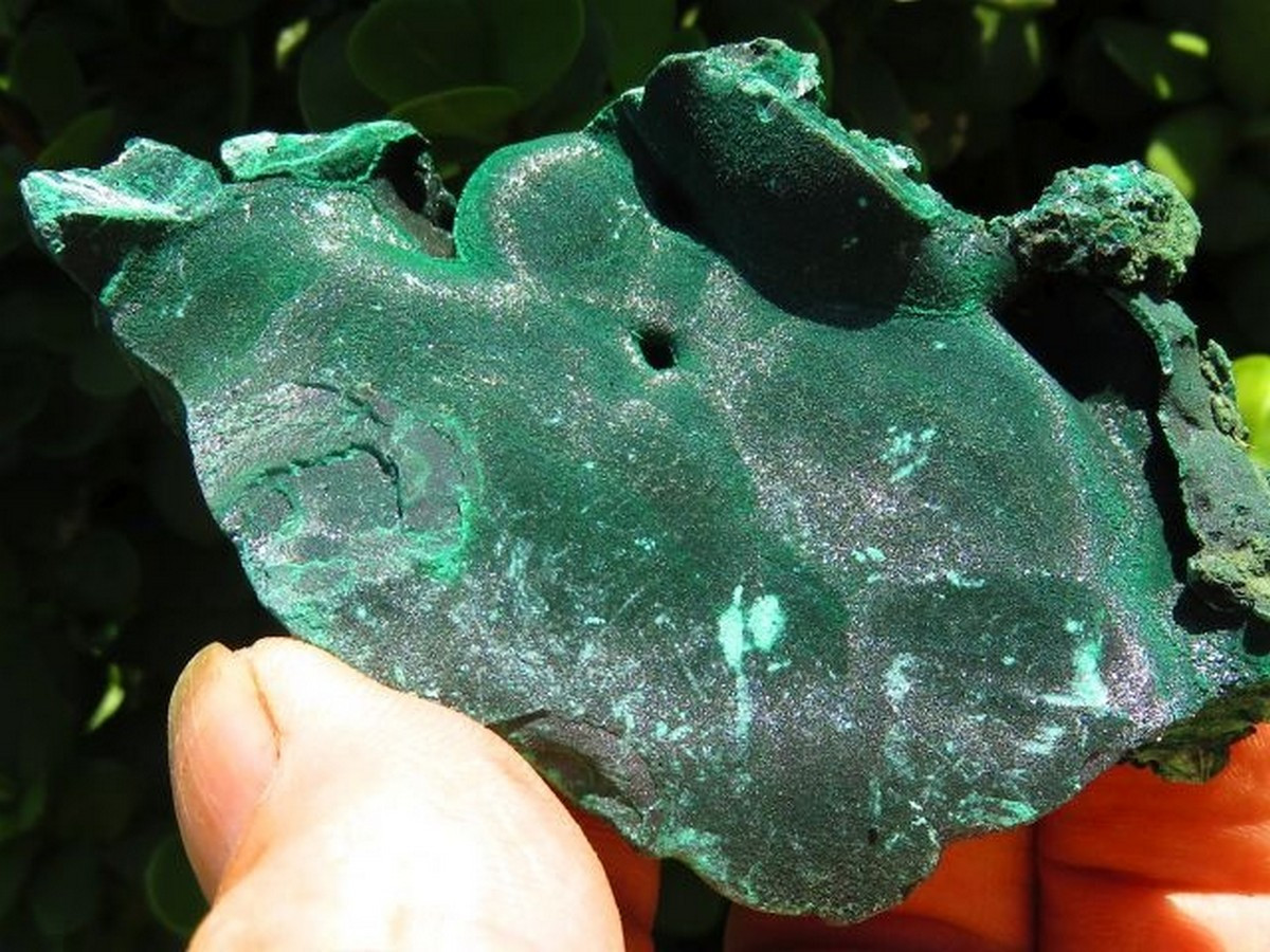 Medium Sized Silky Chatoyant Velvety Green Malachite Specimens ...