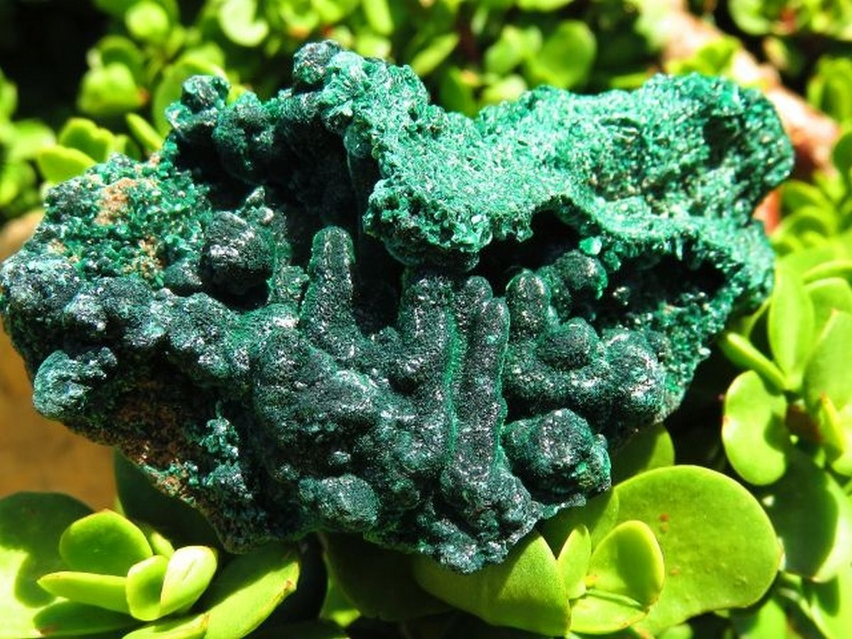 Medium Sized Silky Chatoyant Velvety Green Malachite Specimens ...