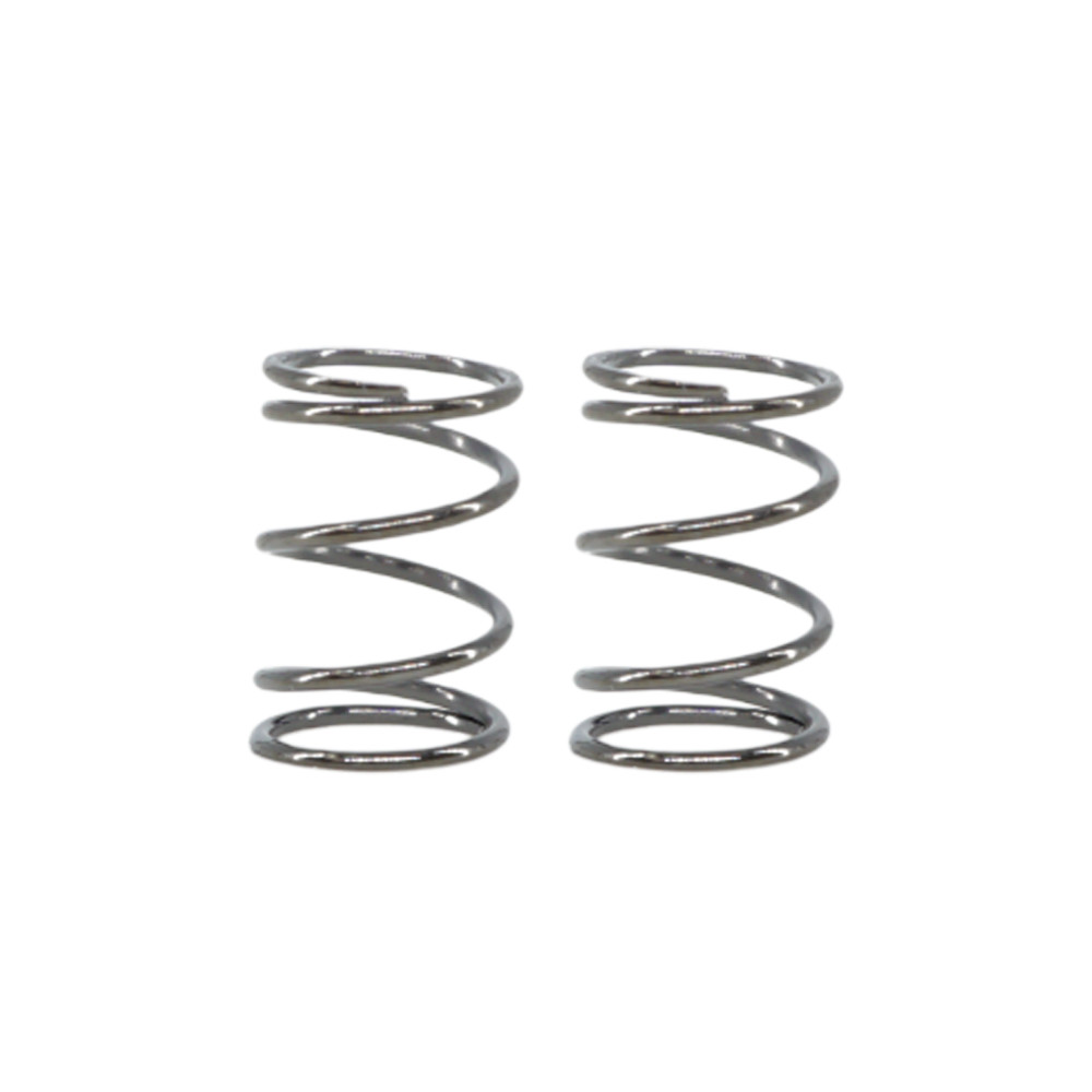 eXcelerate On-Road Rear Springs (2)