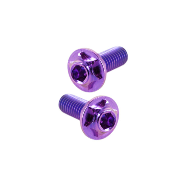 M3 x 8 LP Titanium Motor Screws (2)