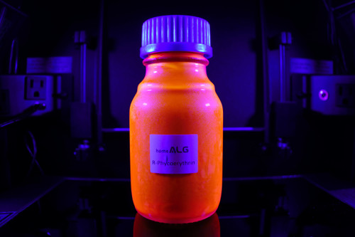 Crosslinked R-Phycoerythrin (R-PE)