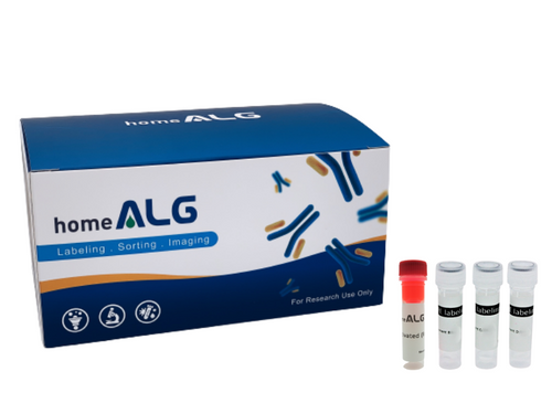 R-Phycoerythrin (R-PE) Antibody Labeling Kit