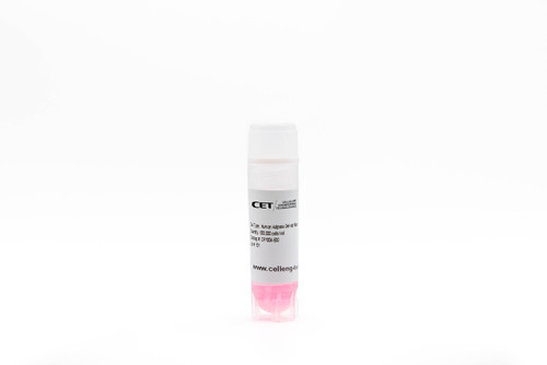 Human Adipose-Derived Mesenchymal Stem Cells