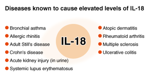 Recombinant Mouse IL-18