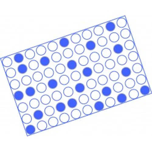 proAKAP4 4MID Kit (ELISA, Pig)