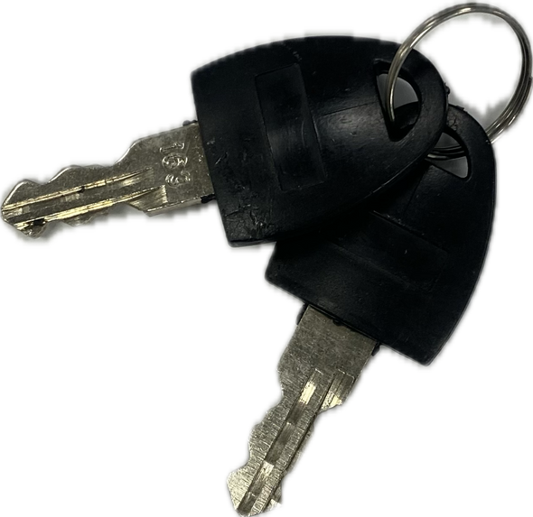 Back Door lock 25mm & Keys