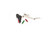 TAC Trigger Kit for Walther Pistols