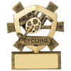 Fantastic Budget CHEAP price for this Star Shield Cycling Trophy