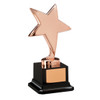 Challenger Bronze star Achievement Trophy Award