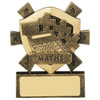 Star Shield Maths Academic Budget Cheap Mini Award with FREE engraving!