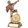 Valentine's Day Gift - Novelty World's Best Boyfriend / Lover / Fiancé / Husband Trophy  FREE engraving.