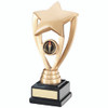 Solid gold resin multi activity star. This trophy includes FREE personalised engraving.