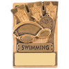 3" Swimming Magnetic Award with FREE engraving