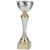 EVEREST Silver & Gold Cup Trophy Series