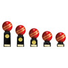 Cricket Ball Award