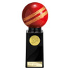 Cricket Trophy 