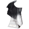 Power Boot Carbon Black & Ice Platinum Football Trophy 