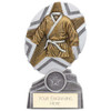 Martial Arts Gi The Stars Plaque Trophy