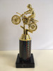 Mini Budget Gold BMX Biking Award 