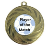 Player of the Match Medal Award