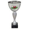 Welsh Flag Award The Genteel Cup 21.5cm