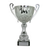 Silver Handled Cup Slindon Award Competition Champions Trophy