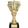 Gold Star Award School Pupil Prize Trophy Student Achievement 