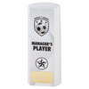 Football Manager's Player Award Team Trophy Logo & Engraving