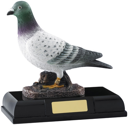 Pigeon Racing Trophies