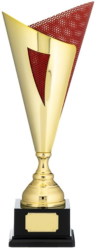 Presentation Cups