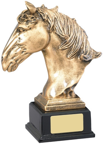 Equestrian Awards