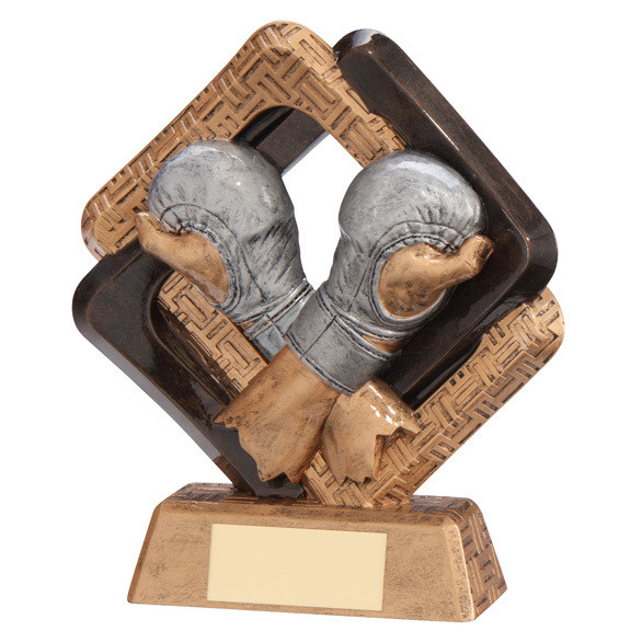 Mixed Martial Arts MMA Trophies
