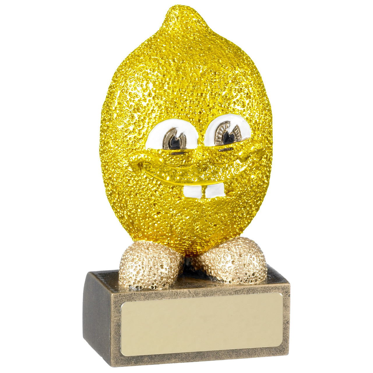 Novelty comic fun silly joke Award. Great Value from 1stplace4Trophies