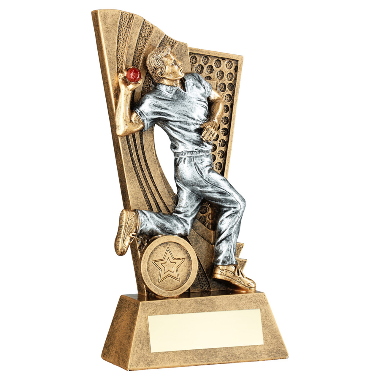 Fabulous cricket bowler backdrop trophy available with free engraving from 1stPlace4Trophies