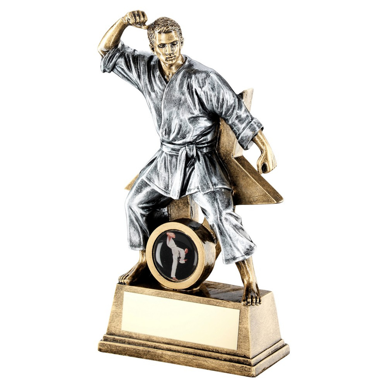 Martial Arts Award in 3 sizes with FREE engraving