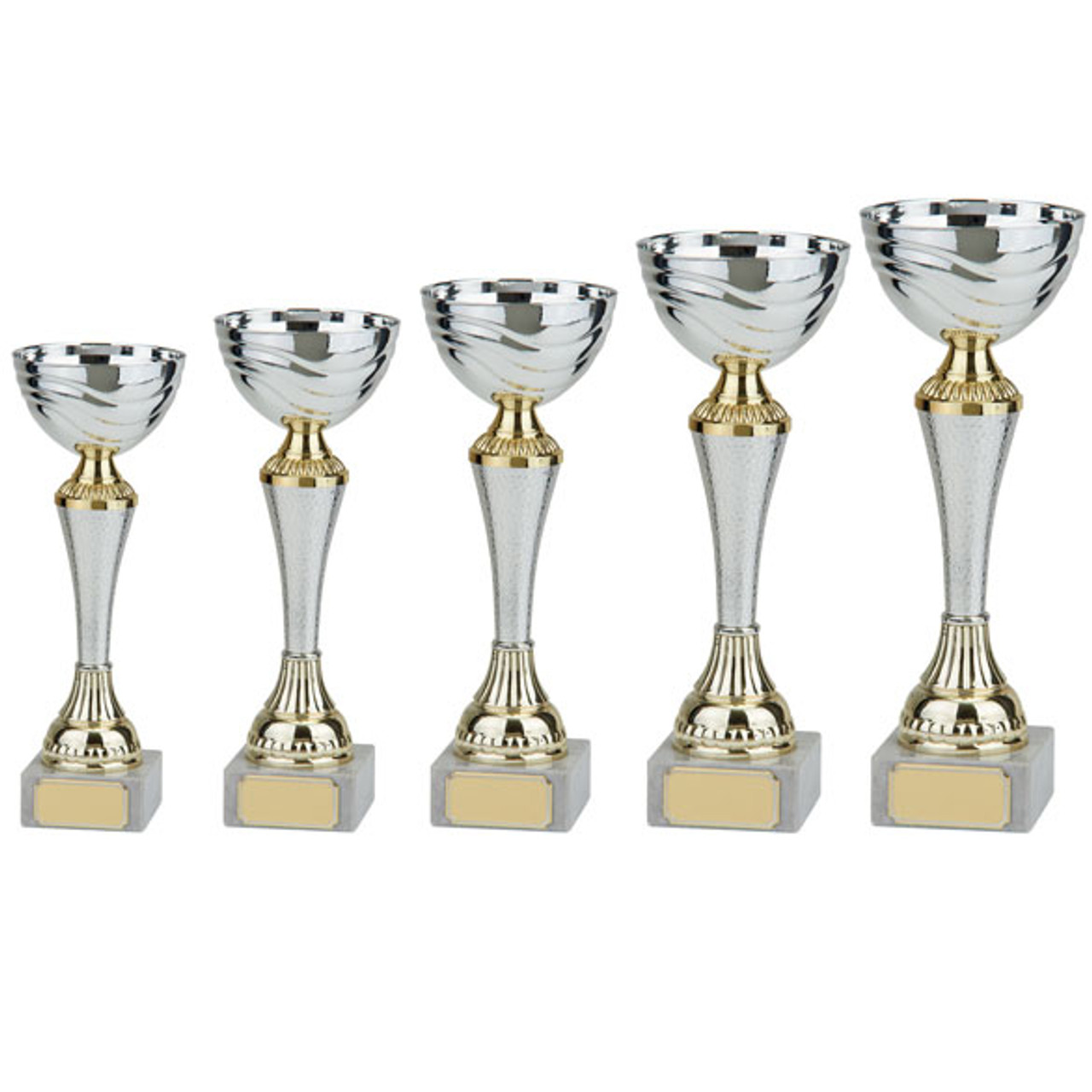 EVEREST Silver & Gold Cup Trophy Series
