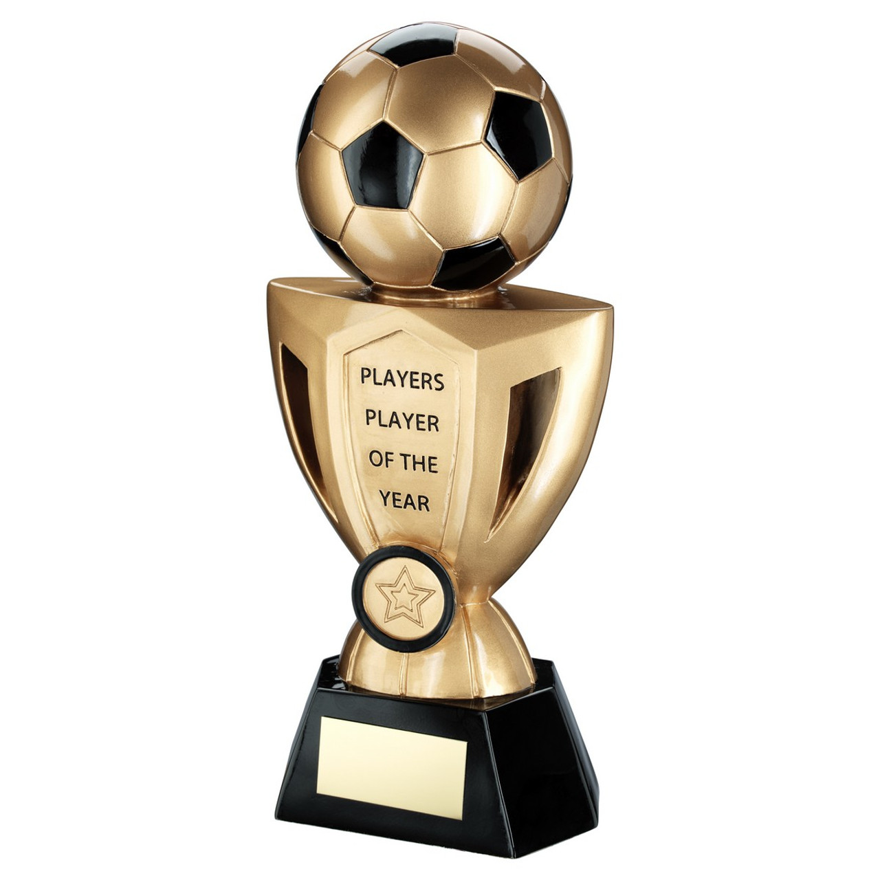 Annual Football Black & Gold Resin Cup Player of the Year Award  