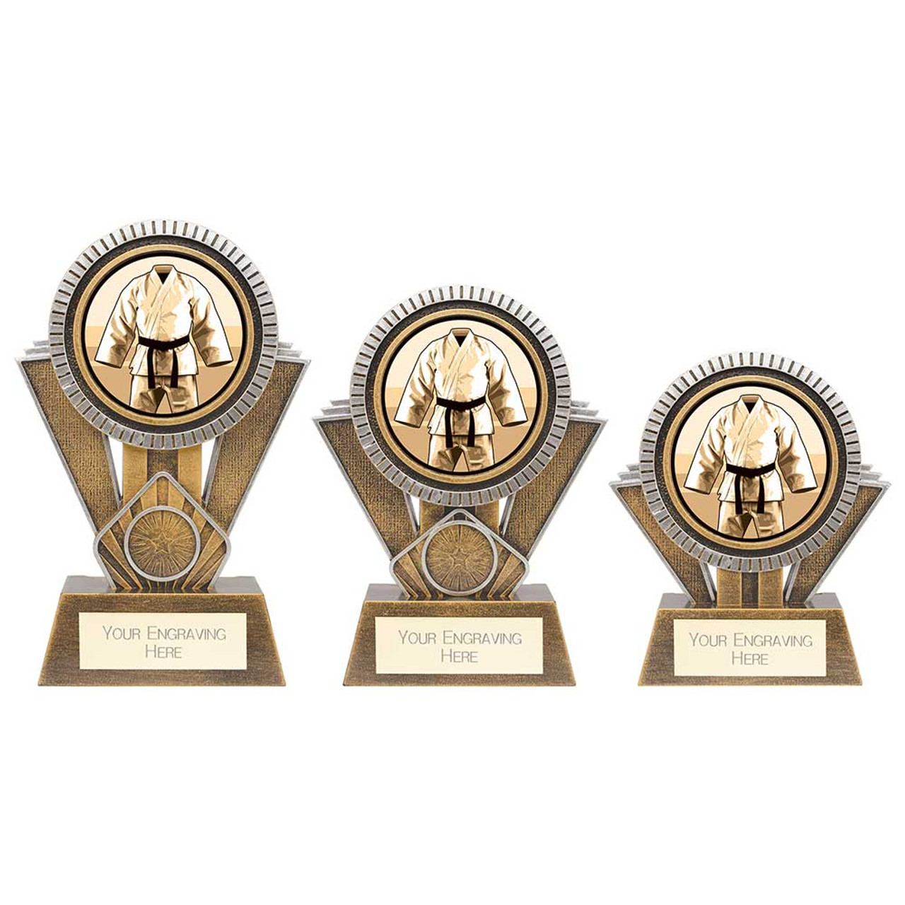 Apex Martial Arts Gi Trophy in 3 sizes