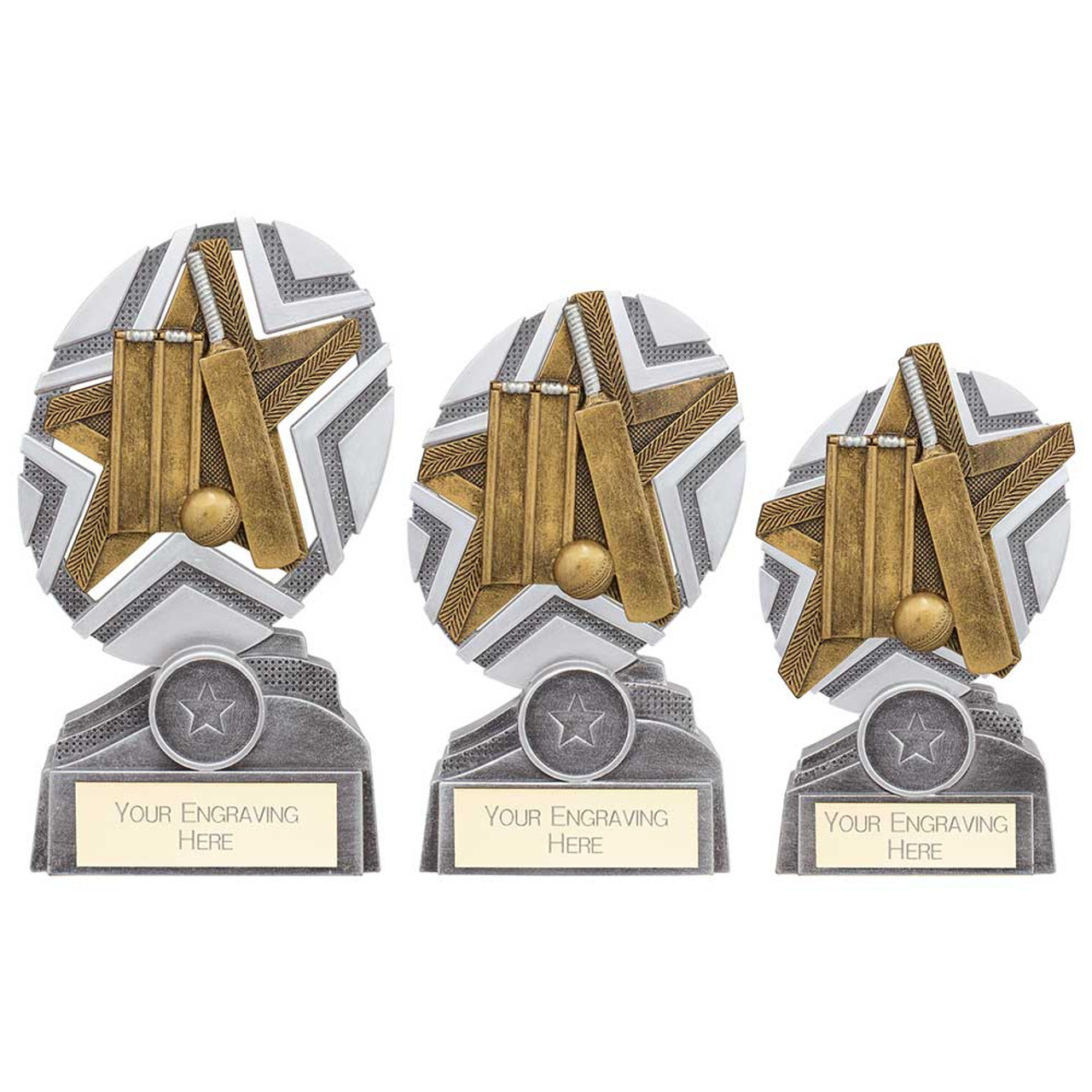 Cricket Bat, Wicket & Ball The Stars Plaque Trophy in 3 sizes