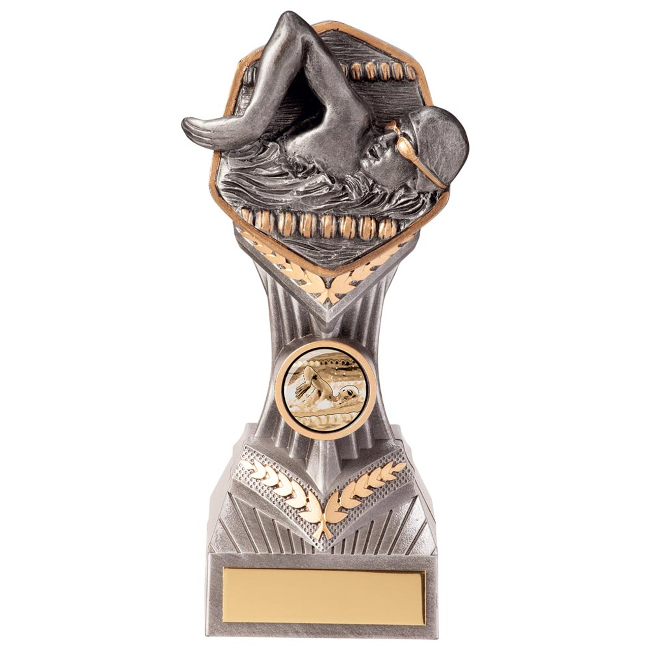 Falcon Swimming Silver & Gold Award - Male