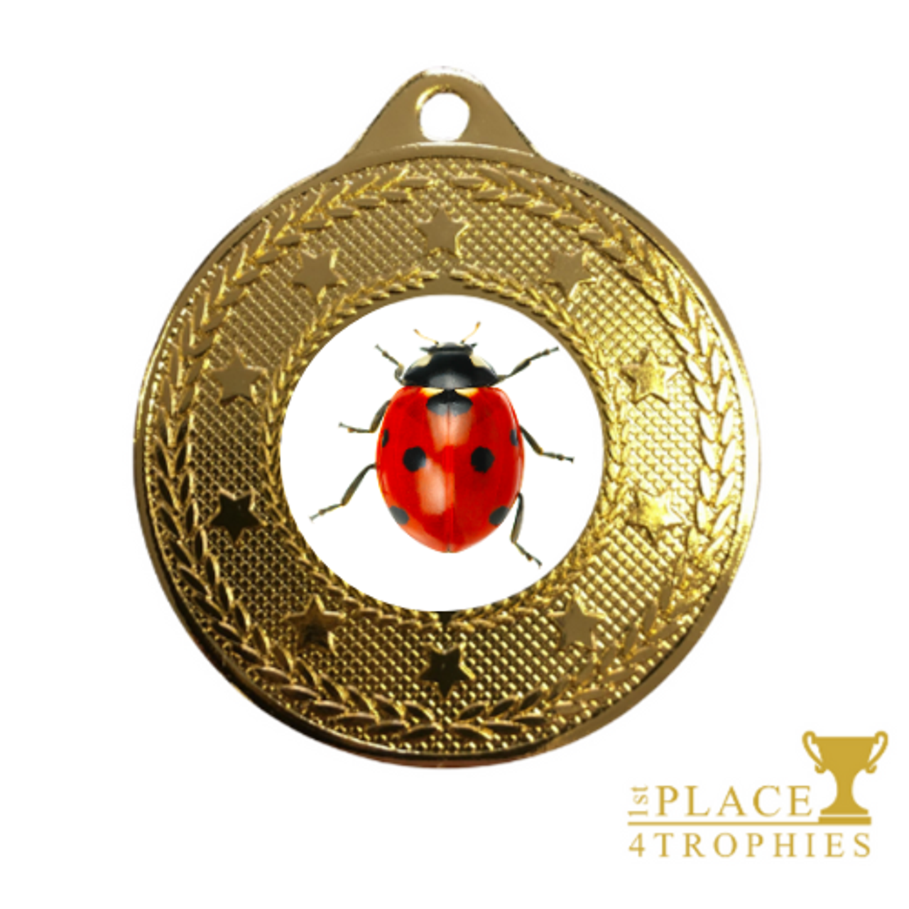 Ladybird Medal Award Prize Bug Hunt Minibeasts Nature School Science